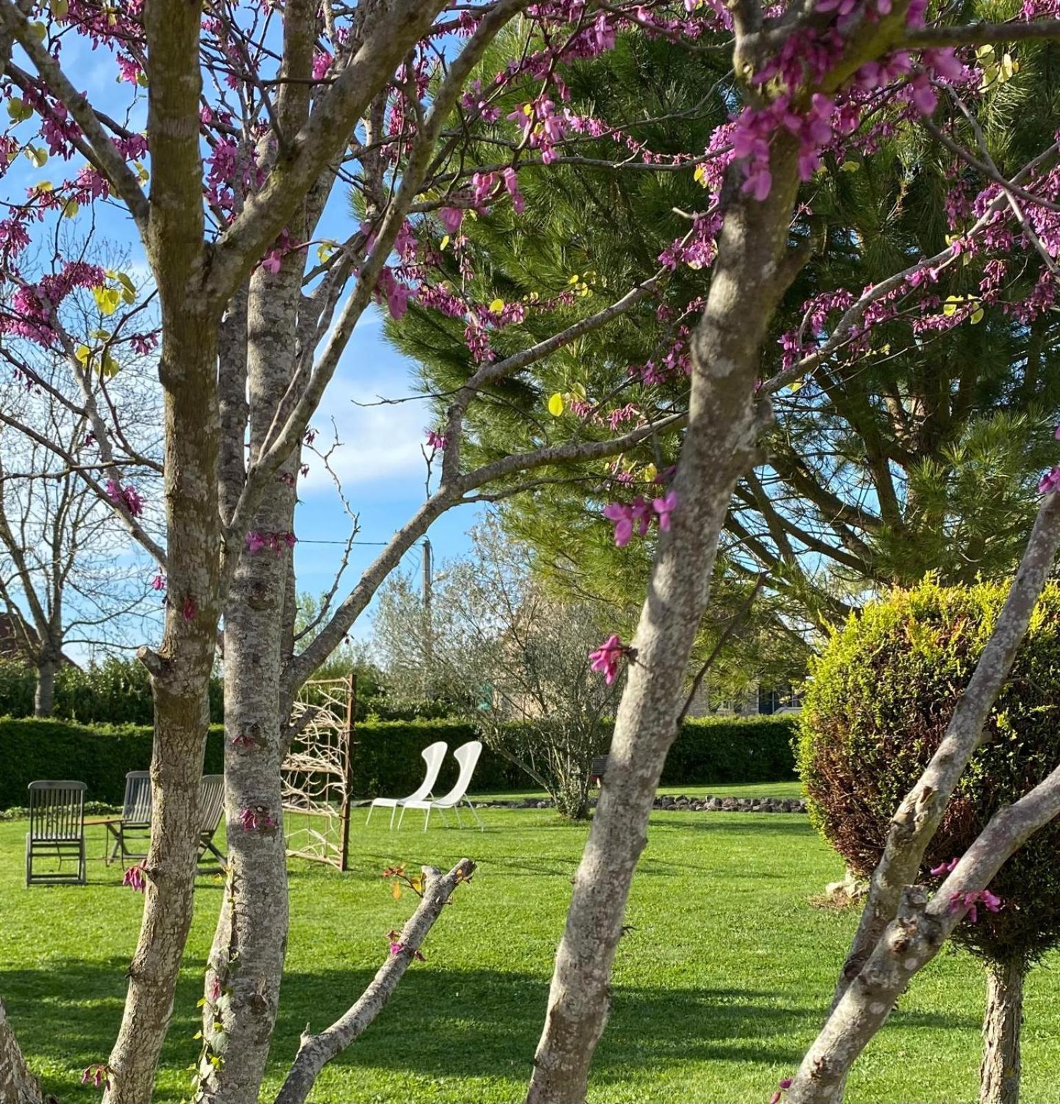 Gite Et Studios Les Barongeres Farges-les-Chalon Экстерьер фото
