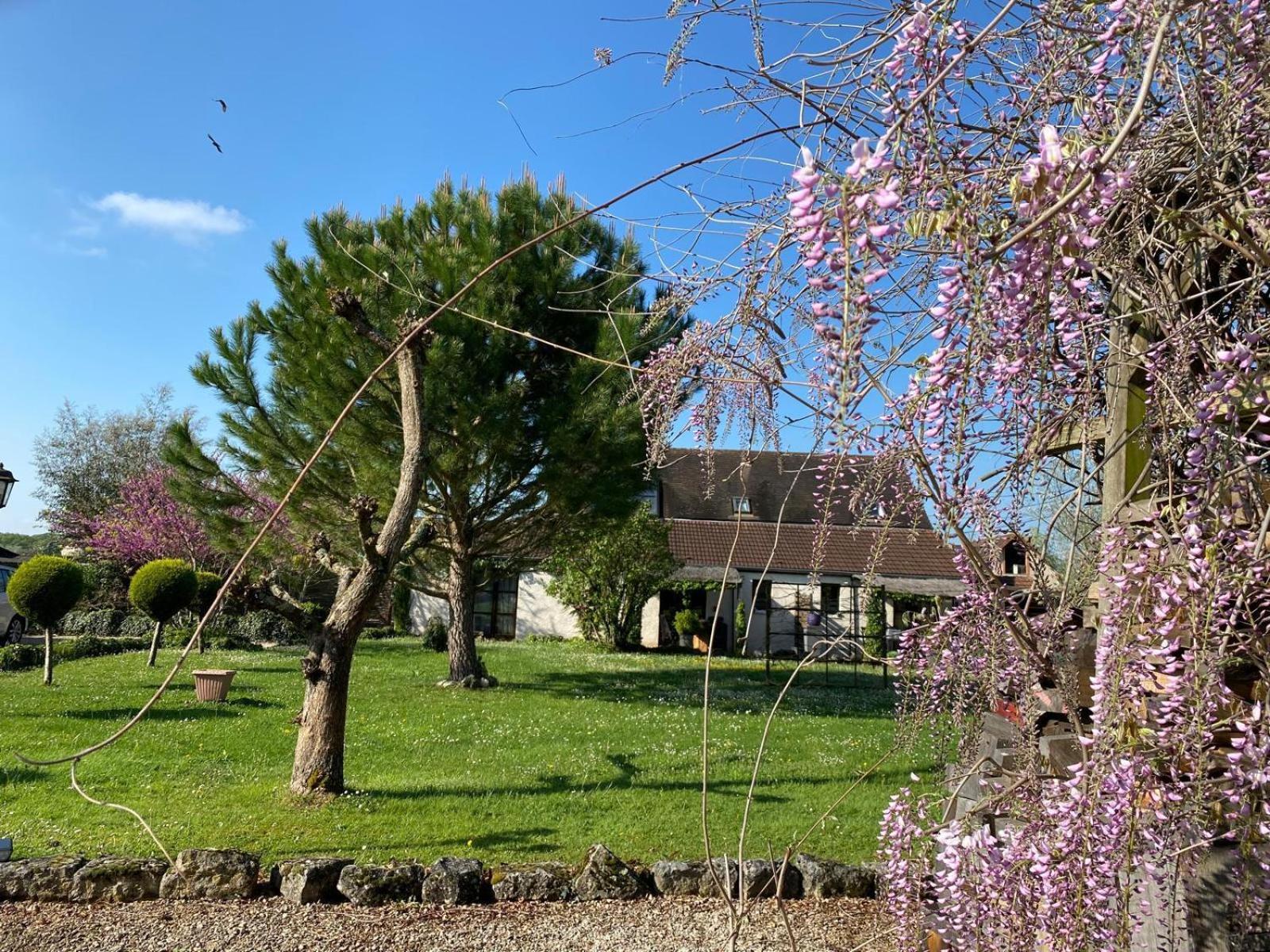 Gite Et Studios Les Barongeres Farges-les-Chalon Экстерьер фото