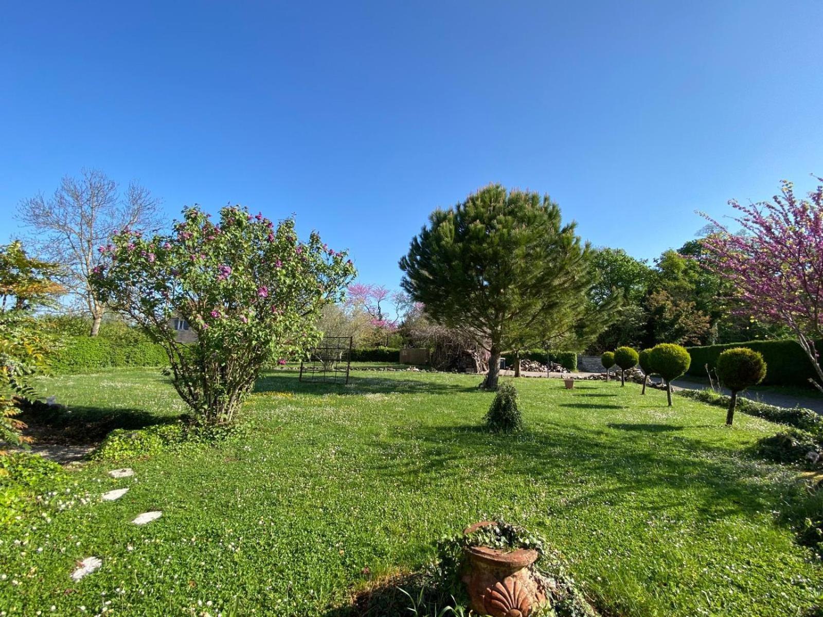 Gite Et Studios Les Barongeres Farges-les-Chalon Экстерьер фото