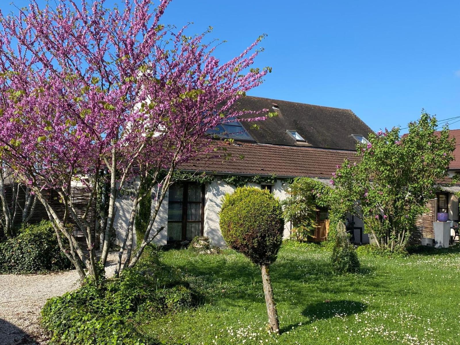 Gite Et Studios Les Barongeres Farges-les-Chalon Экстерьер фото